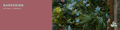 LinkedIn Banner template