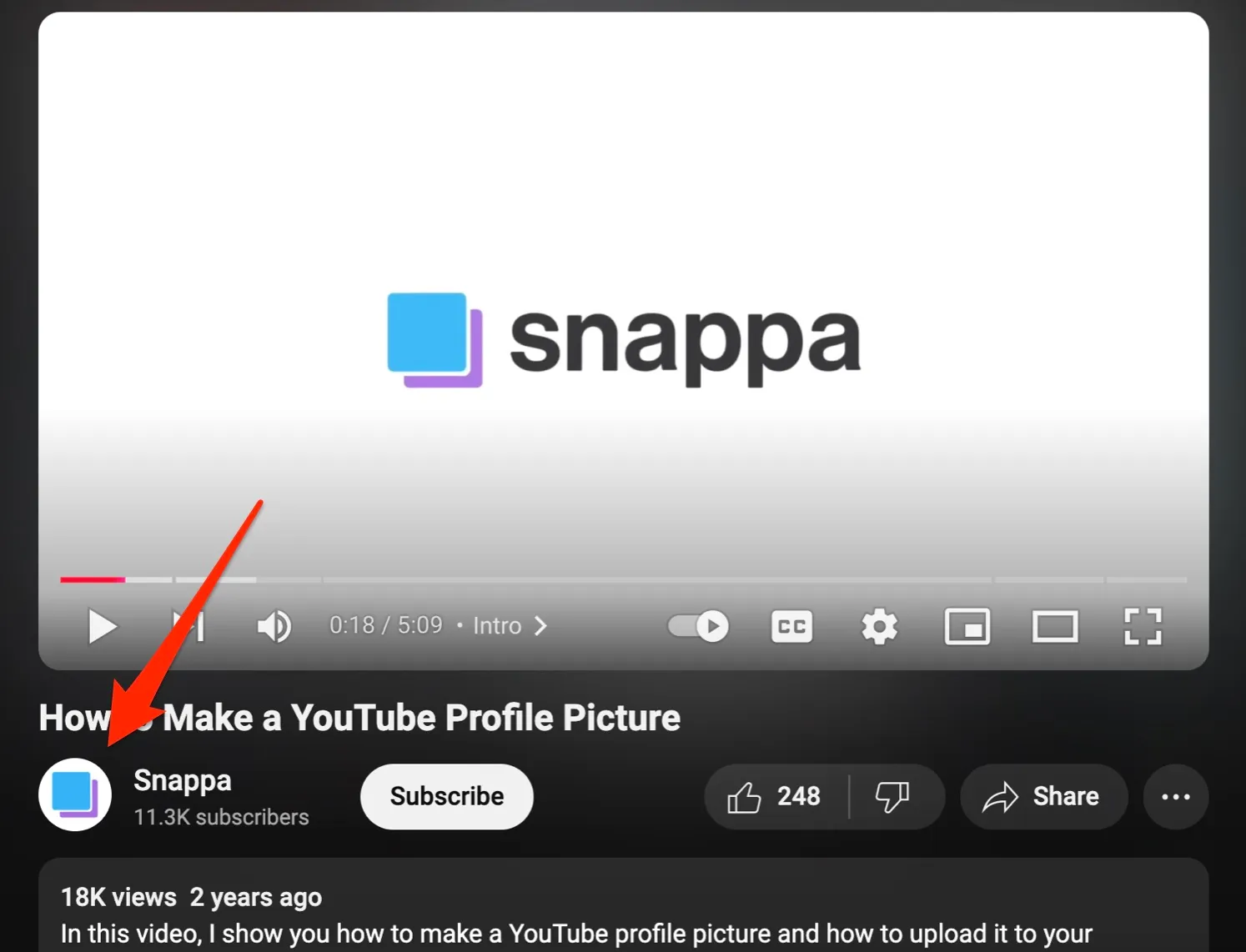 How to find YouTube profile picture example from Snappa's YouTube video