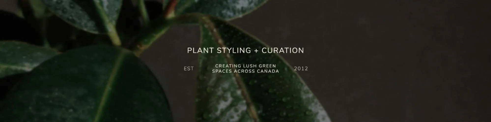 An example of a landscape themed LinkedIn banner