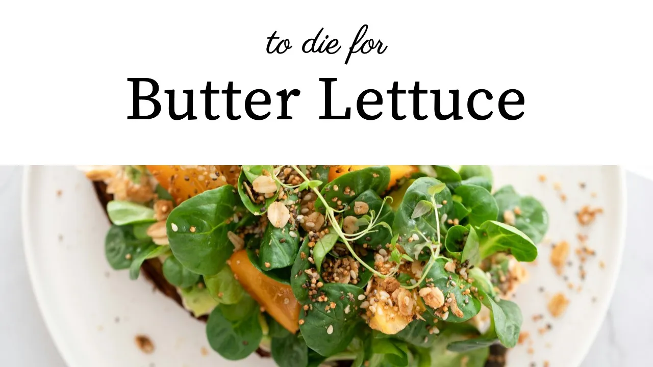 Food YouTube thumbnail template from Snappa featuring the Source Serif Pro font with elegant text and a close-up salad image
