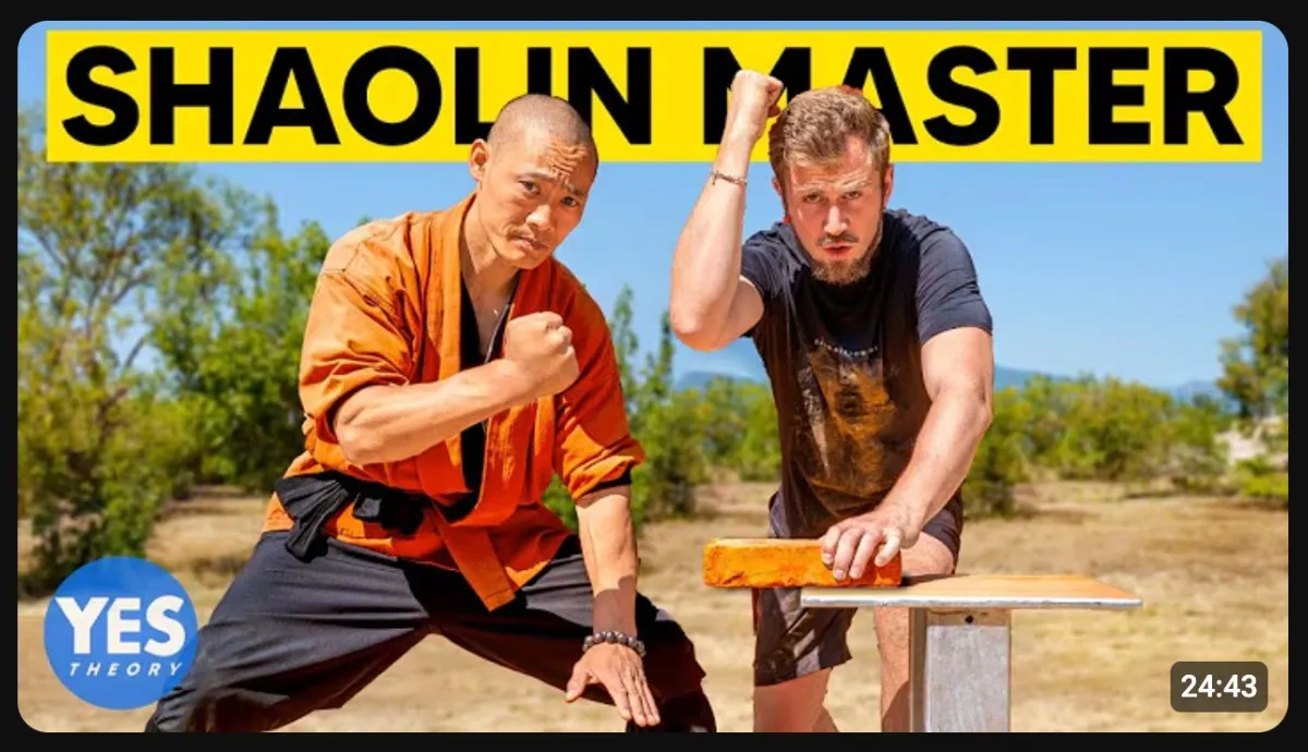 Yes Theory YouTube thumbnail featuring bold yellow text and two subjects demonstrating martial arts outdoors